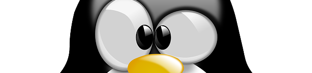Linux Linux